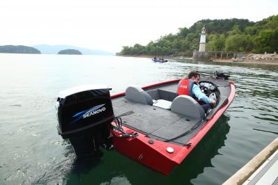 Лодочный мотор Seanovo SN 90 FFEL-T Лодочный мотор Seanovo SN 90 FFEL-T